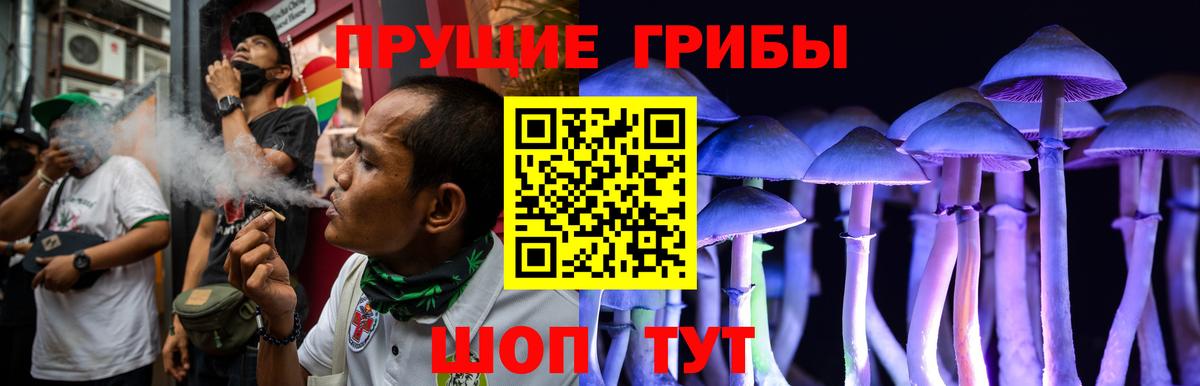 продажа наркотиков  Вход с VPN  Ефремов  Псилоцибиновые грибы GOLDEN TEACHER 